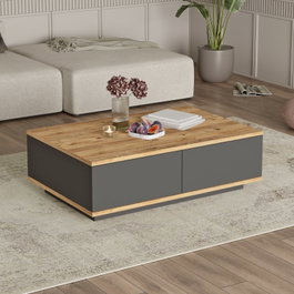 Hanah Home Mesa de Centro FR14-AA Pino Atlántico y Antracita